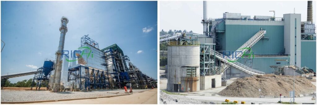 Grass Pellet Production Line In USA