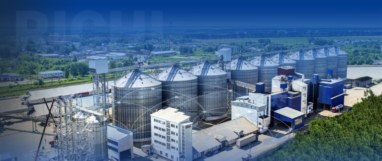 Designing a Feed Processing Plant in Argentina: Essential Steps and Key Considerations