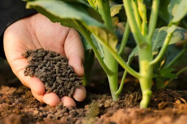 fertilizers