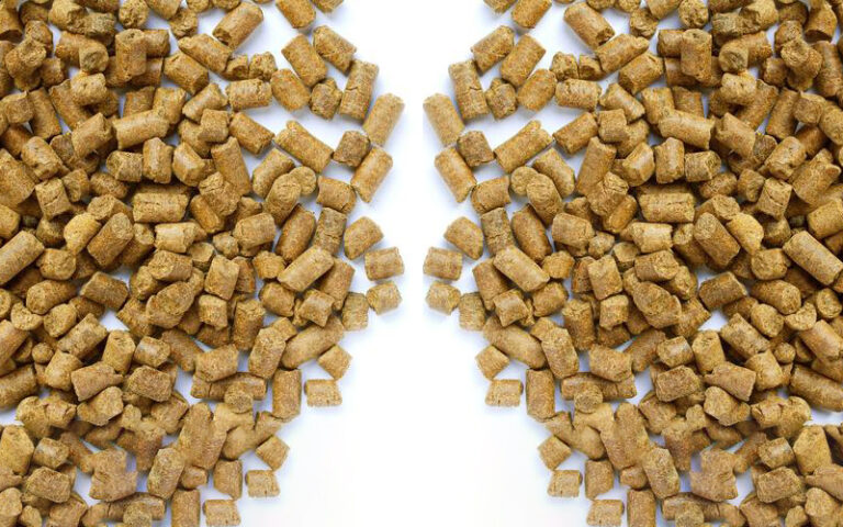 Why Animal Feed Pellets Are Important for Livestock Growth