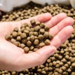 aqua feed pellets