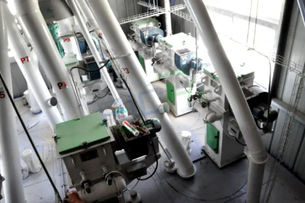 10T/H premix feed production line installed in Netherlands, complete animal feed premix manufacturing plant