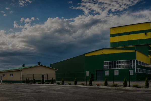 Premixed feed production line project, exterior view of complete automatic animal premix feed mill factory building